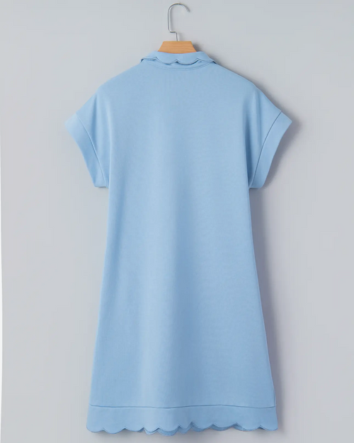 Blue Birdie Dress